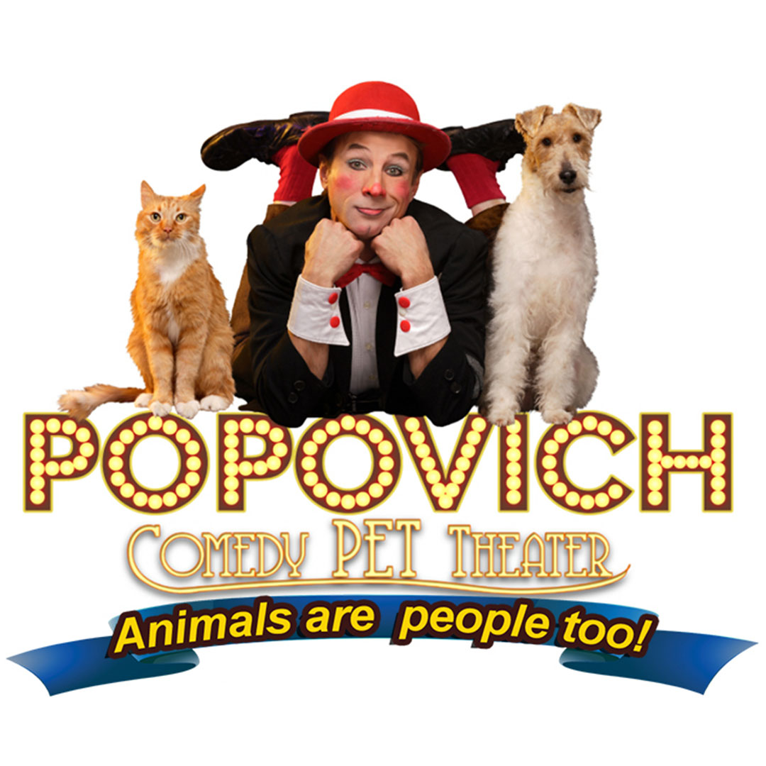 Pop