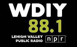 Wdiy Logo 2021